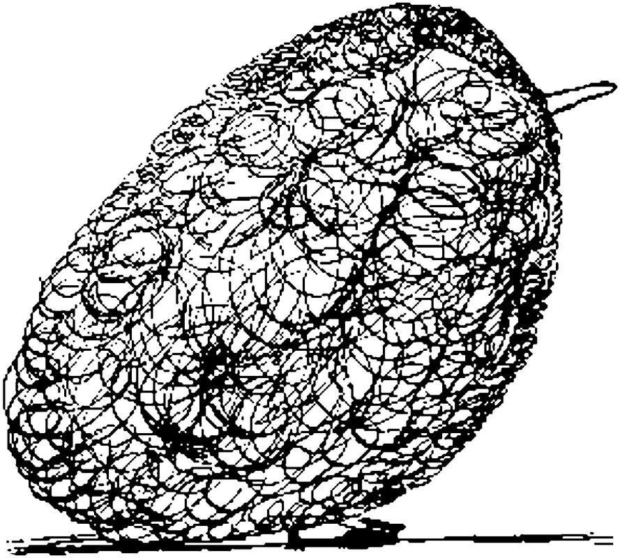 Picture of a person whose entire body is covered in a big wig, with only the tip of their nose and their feet visible.