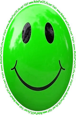 Picture of a green smiley face and the words, 'Visit www.MakeFunOfLife.net.'