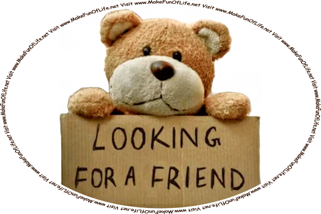 Picture of a stuffed toy teddy bear holding a cardboard sign on which is printed, ‘Looking For A Friend’ and the words, ‘Visit www.MakeFunOfLife.net.’