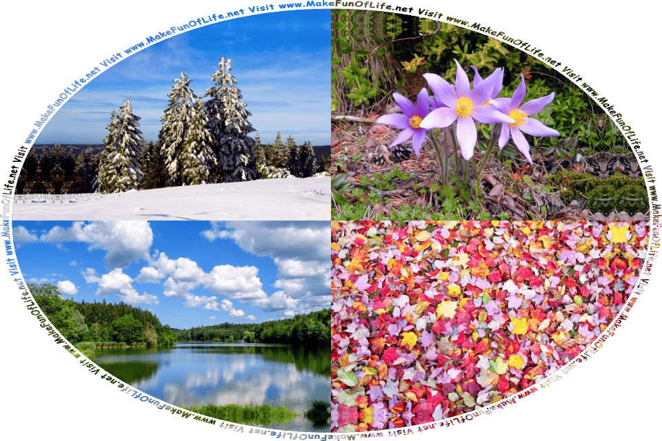 Picture of the four seasons, with fallen snow covering the ground and clinging to the branches of evergreen trees in Wintertime, three purplish flowers blooming in a dense woods in Springtime, a calm blue lake into which the blue sky and fluffy white clouds above are reflected like a mirror, surrounded by thick green leafy trees in Summertime, fallen leaves turned from green to reds and yellows in Autumntime, and the words, Visit www.MakeFunOfLife.net.