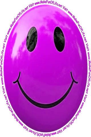 Picture of a lavender smiley face and the words, 'Visit www.MakeFunOfLife.net.'