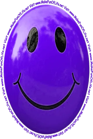 Picture of a dark blue smiley face and the words, 'Visit www.MakeFunOfLife.net.'