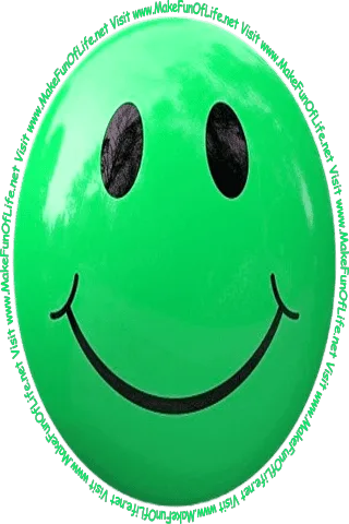 Picture of a light green smiley face and the words, 'Visit www.MakeFunOfLife.net.'