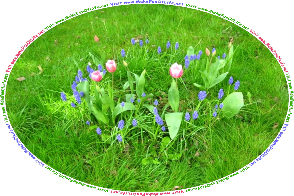 Picture of a small group of flowering plants with blue and pink blossoms, surrounded by green grass, and the words, Visit www.MakeFunOfLife.net.
