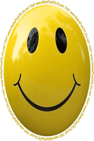 Picture of a honey-yellow smiley face and the words, 'Visit www.MakeFunOfLife.net.'