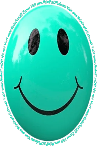Picture of a light blue-green smiley face and the words, 'Visit www.MakeFunOfLife.net.'