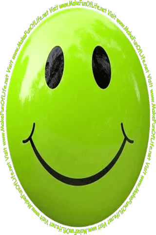 Picture of a light green smiley face and the words, 'Visit www.MakeFunOfLife.net.'