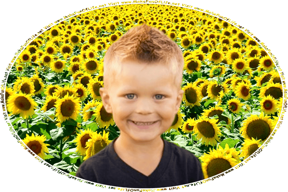 Picture of a happy smiling boy standing in a field of large yellow sunflowers on a Summer day, and the words, Visit www.MakeFunOfLife.net.