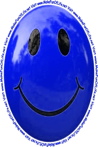 Picture of a dark blue smiley face and the words, 'Visit www.MakeFunOfLife.net.'