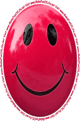 Picture of a red smiley face and the words, 'Visit www.MakeFunOfLife.net.'