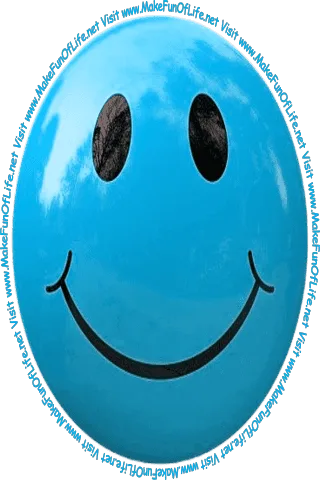 Picture of a light blue smiley face and the words, 'Visit www.MakeFunOfLife.net.'