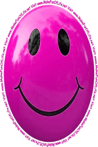 Picture of a deep pink smiley face and the words, 'Visit www.MakeFunOfLife.net.'