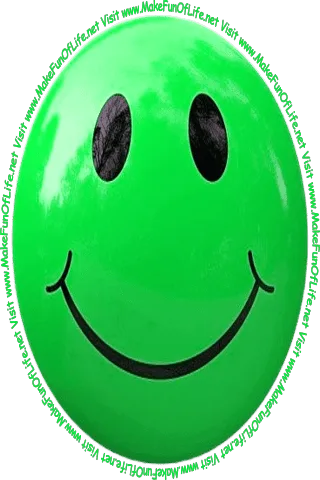 Picture of a green smiley face and the words, 'Visit www.MakeFunOfLife.net.'