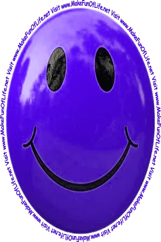 Picture of a dark blue smiley face and the words, 'Visit www.MakeFunOfLife.net.'