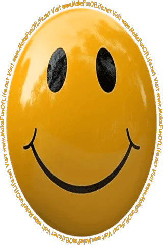 Picture of a brown smiley face and the words, 'Visit www.MakeFunOfLife.net.'