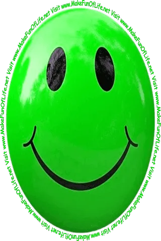 Picture of a light green smiley face and the words, 'Visit www.MakeFunOfLife.net.'