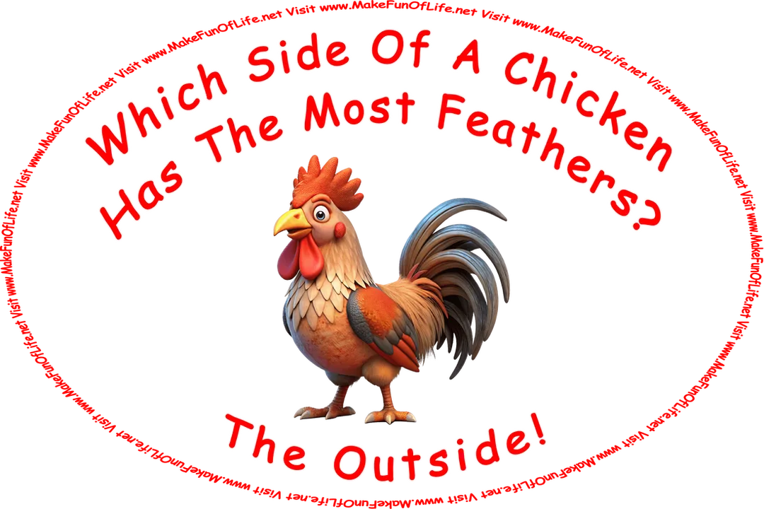 Picture of a rooster, and the words, ‘Which Side Of A Chicken Has The Most Feathers? The Outside! - Visit www.MakeFunOfLife.net.’