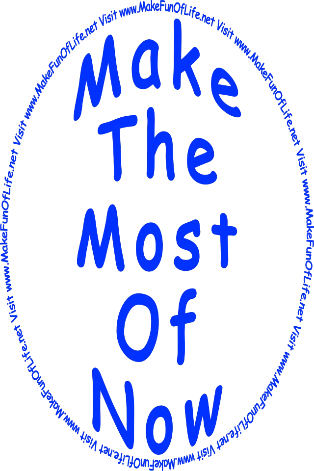 ‘Make The Most Of Now - Visit www.MakeFunOfLife.net.’