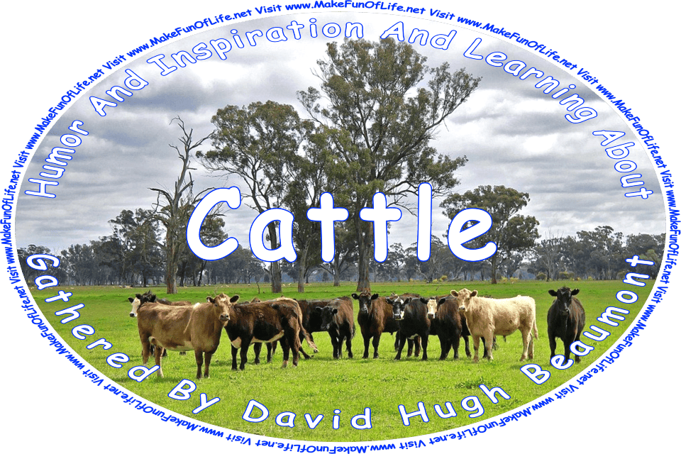 Picture of a herd of cattle in a green grassy pasture, and the words, ‘Cattle Gathered By David Hugh Beaumont - Visit www.MakeFunOfLife.net.’