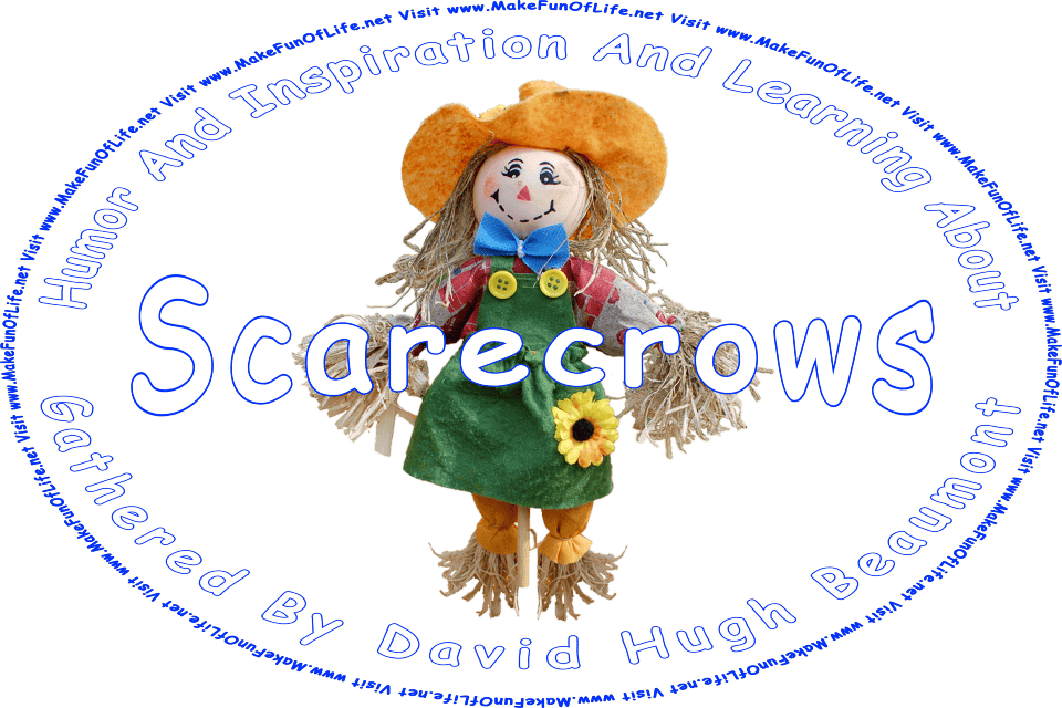 Picture of a happy smiling straw-stuffed scarecrow doll in a green felt dress and an orange felt hat, and the words, Visit www.MakeFunOfLife.net.