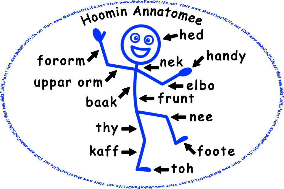 Cartoon picture of a happy smiling human stick figure, that has deliberately misspelled words with arrows pointing to parts of its body as follows: head, forearm, neck, hand, upper arm, elbow, back, front, knee, thy, calf, foot, and toe, and the words, Human Anatomy - Visit www.MakeFunOfLife.net.