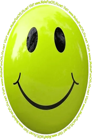 Picture of a rich red smiley face and the words, 'Visit www.MakeFunOfLife.net.'