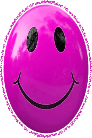 Picture of a medium light green smiley face and the words, 'Visit www.MakeFunOfLife.net.'