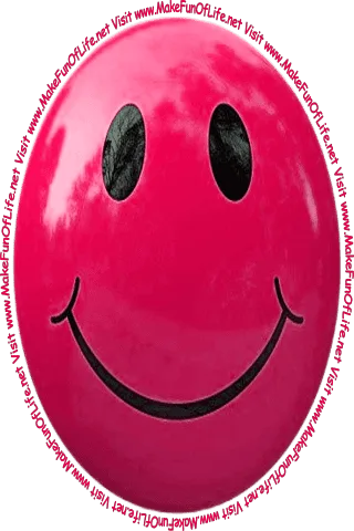 Picture of a purple smiley face and the words, 'Visit www.MakeFunOfLife.net.'