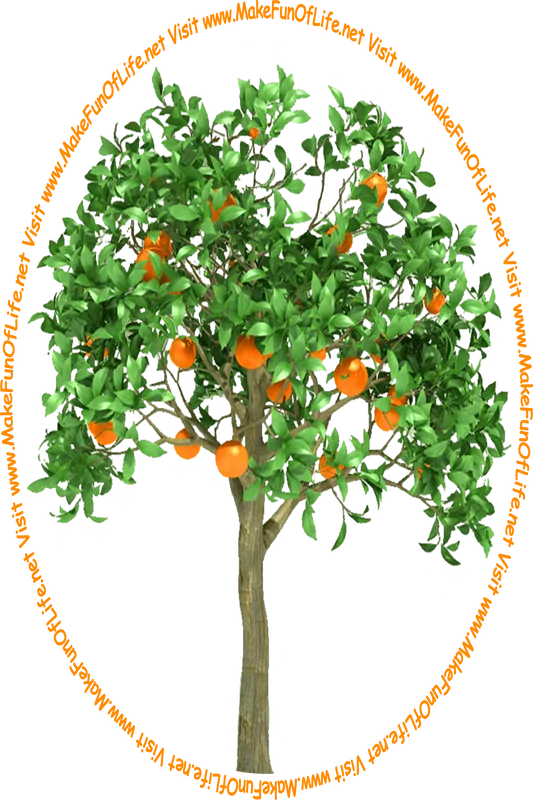 Picture of a leafy green citrus fruit tree with bright oranges hanging from its branches and the words, 'Visit www.MakeFunOfLife.net.'