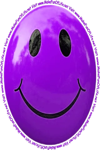 Picture of a light green smiley face and the words, 'Visit www.MakeFunOfLife.net.'
