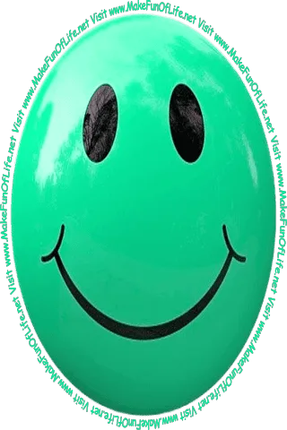Picture of a pale green smiley face and the words, 'Visit www.MakeFunOfLife.net.'