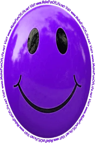 Picture of an indigo smiley face and the words, 'Visit www.MakeFunOfLife.net.'