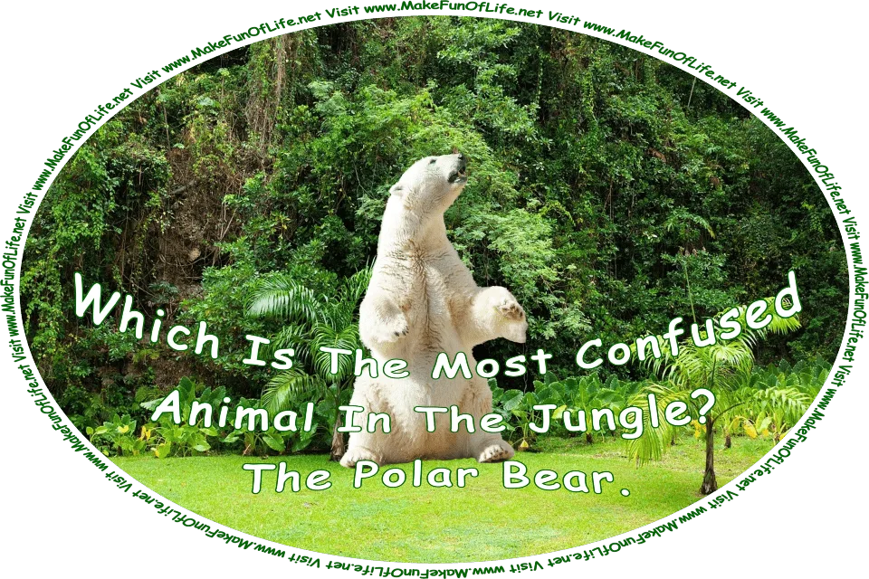 Picture of a polar bear looking around at thick green leafy plants, and the words, ‘Which Is The Most Confused Animal In The Jungle? The Polar Bear. Visit www.MakeFunOfLife.net.’