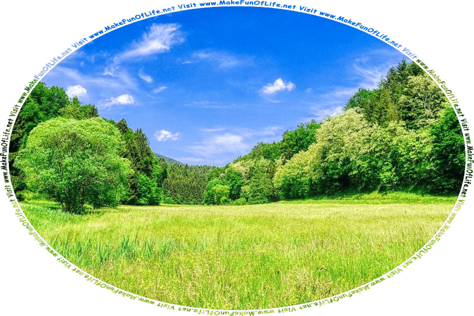 Picture of a meadow with flowering plants and green grass, green leafy trees on each side, green leafy trees covering the hills in the distance, and a blue sky with tiny white fluffy clouds, and the words, Visit www.MakeFunOfLife.net.