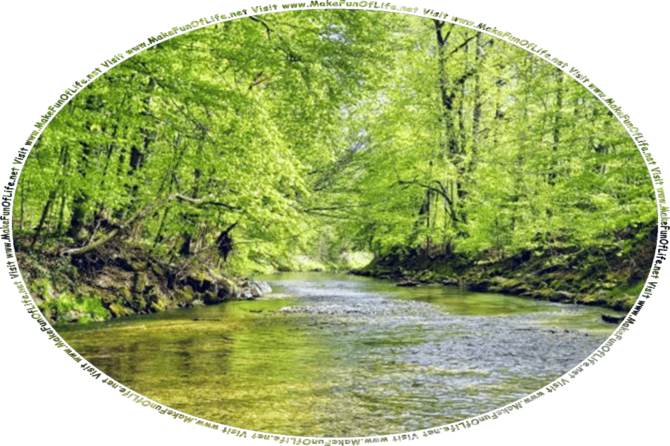 Picture of a clear shallow river, in a forest of leafy green trees, and the words, Visit www.MakeFunOfLife.net.