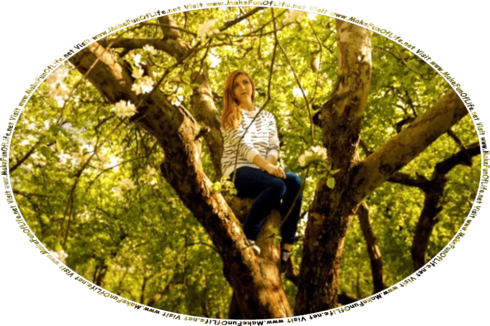 Picture of a woman sitting up in a tree, and the words, Visit www.MakeFunOfLife.net.