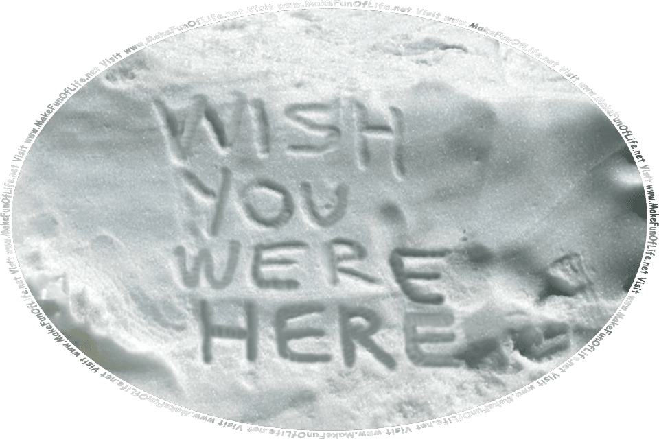 Picture of a snowbank with the words, Wish You Were Here, written on it with a finger, and the words, Visit www.MakeFunOfLife.net.