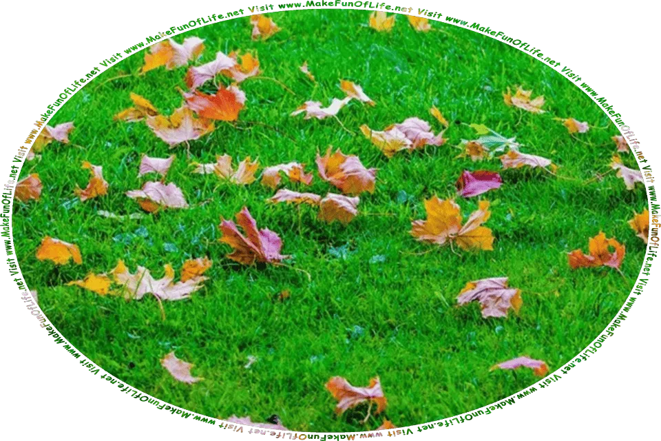 Picture of a green grass yard on which are Autumn leaves that have fallen from trees, and the words, Visit www.MakeFunOfLife.net.