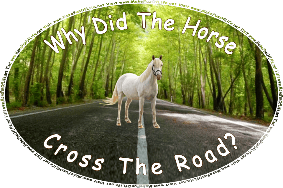Picture of a horse crossing a road, and the words, Visit www.MakeFunOfLife.net.