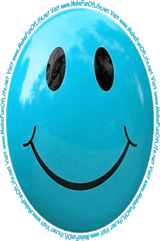 Picture of a brown smiley face and the words, 'Visit www.MakeFunOfLife.net.'