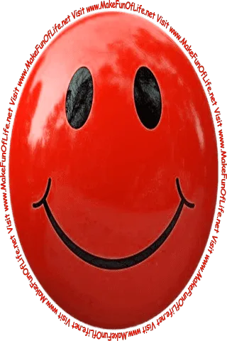 Picture of a blue smiley face and the words, 'Visit www.MakeFunOfLife.net.'
