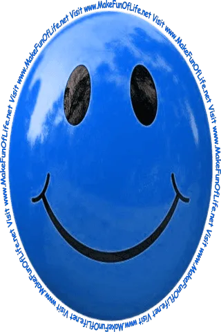 Picture of a yellow-green smiley face and the words, 'Visit www.MakeFunOfLife.net.'