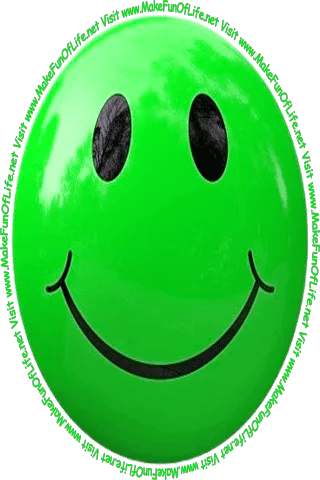 Picture of a light green smiley face and the words, 'Visit www.MakeFunOfLife.net.'