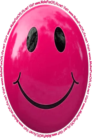 Picture of a rosey red smiley face and the words, 'Visit www.MakeFunOfLife.net.'