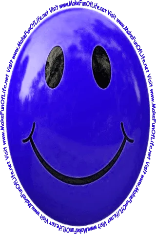 Picture of a yellow smiley face and the words, 'Visit www.MakeFunOfLife.net.'