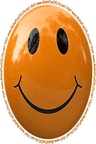 Picture of an orangish-brown smiley face and the words 'Visit www.MakeFunOfLife.net.'
