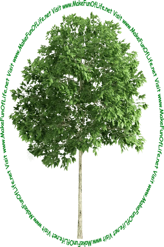 Picture of a tall green leafy tree and the words, 'Visit www.MakeFunOfLife.net.'
