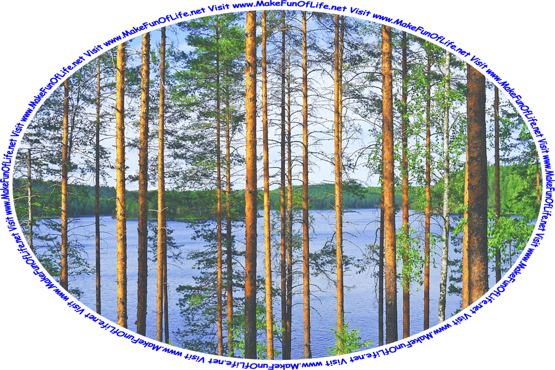 Picture of a calm lake seen through a group of tall, thin evergreen tree trunks, and the words, ‘Visit www.MakeFunOfLife.net.’