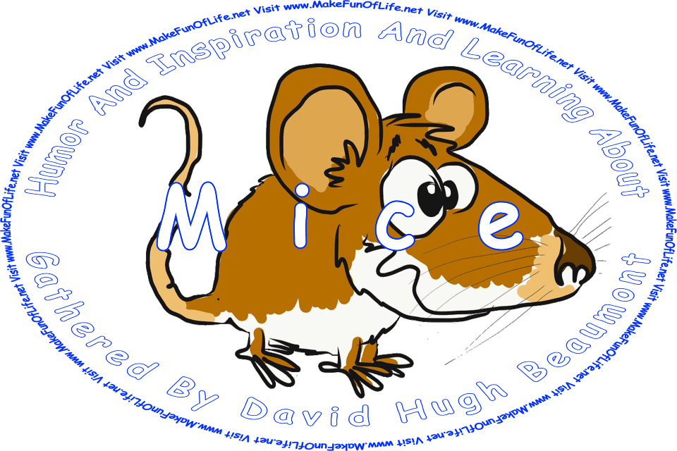 Picture of a happy smiling mouse, and the words, ‘Visit www.MakeFunOfLife.net.’