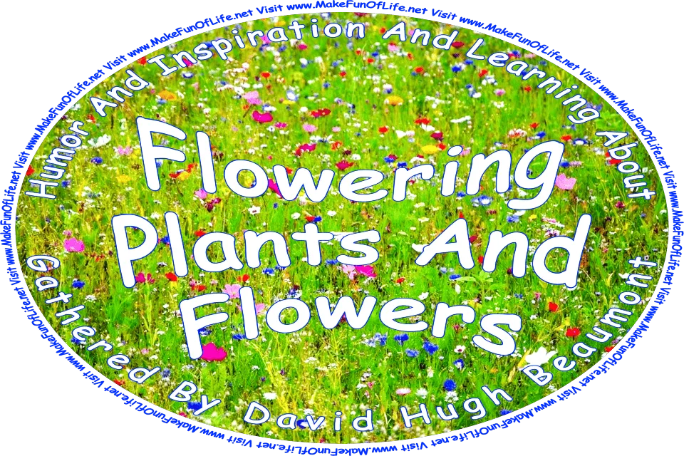 Picture of a field of flowers with blossoms in white, shades of pink, blue, and orange, and the words, ‘Flowering Plants And Flowers Gathered By David Hugh Beaumont - Visit www.MakeFunOfLife.net.’